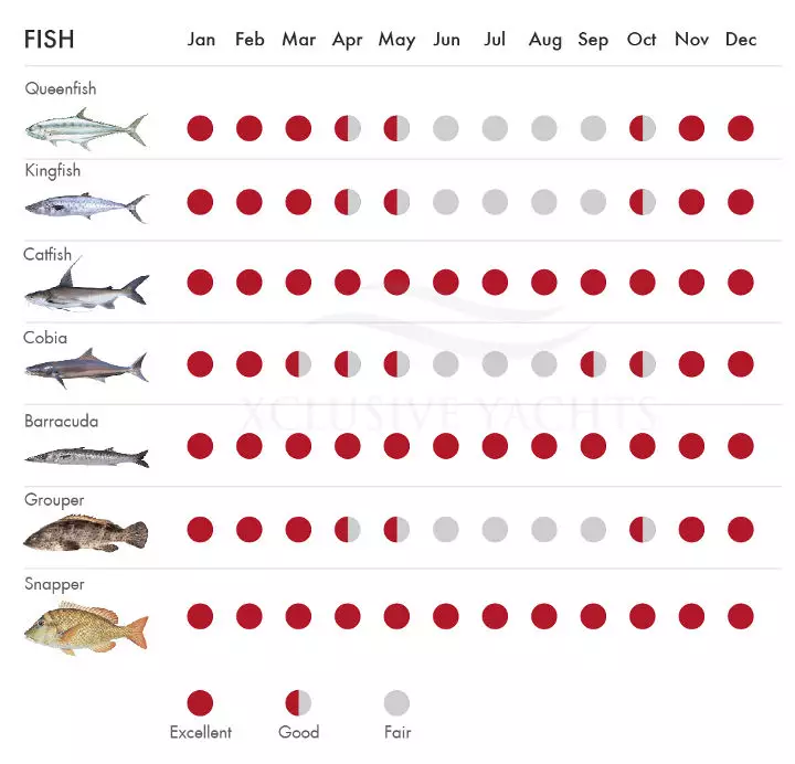 Dubai fishing calendar